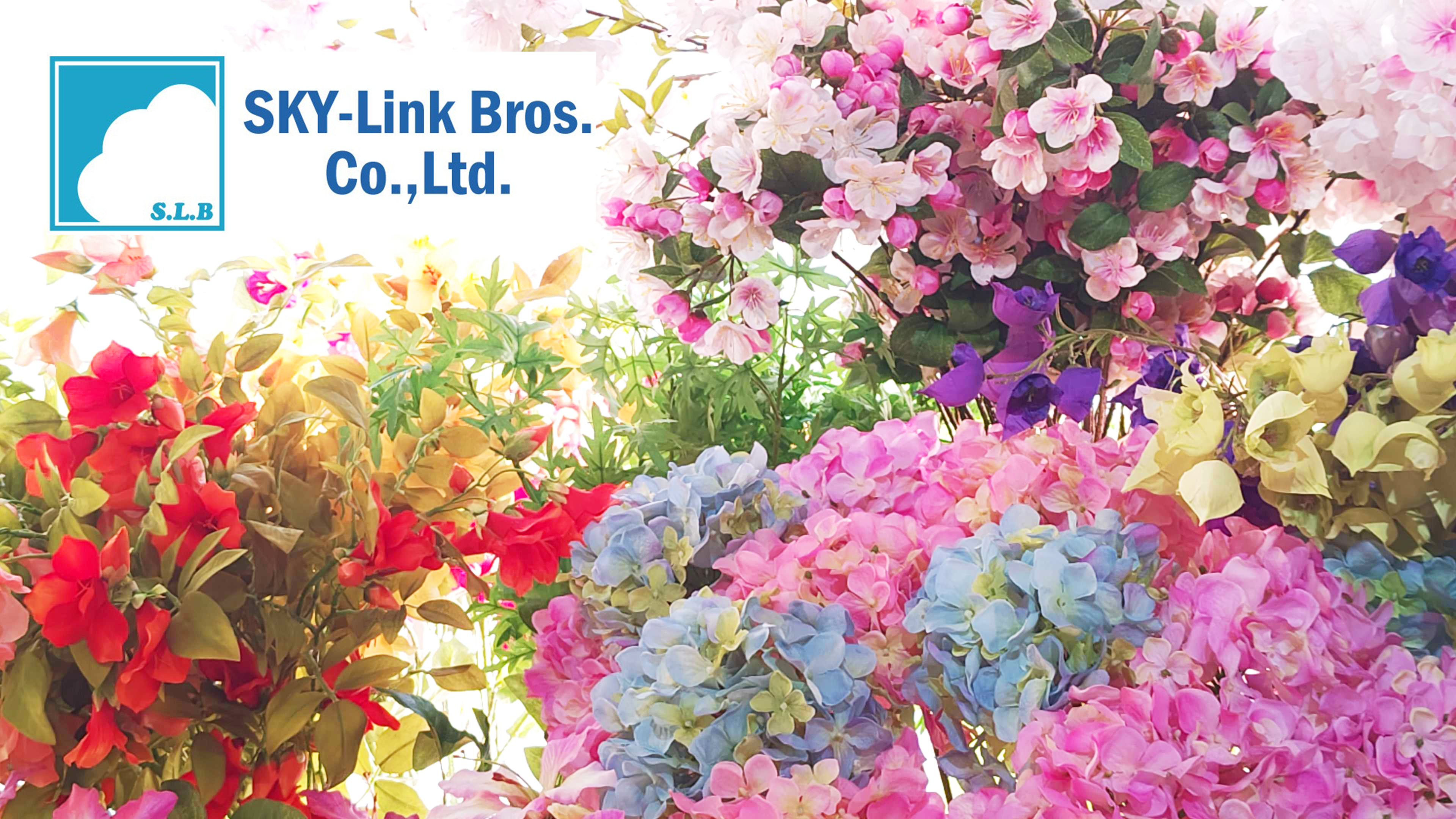 株式会社スカイリンクブラザーズのロゴと画像